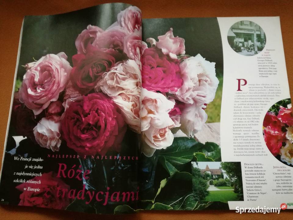 Mój piękny ogród Róże z tradycjami Czasopismo Łódź