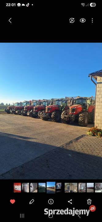 massey ferguson 646564656499 76266290 Płoniawy-Bramura