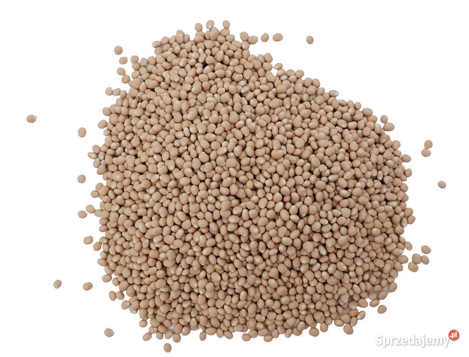 Nasiona Łubin Facelia Gorczyca Wyka Mieszanka