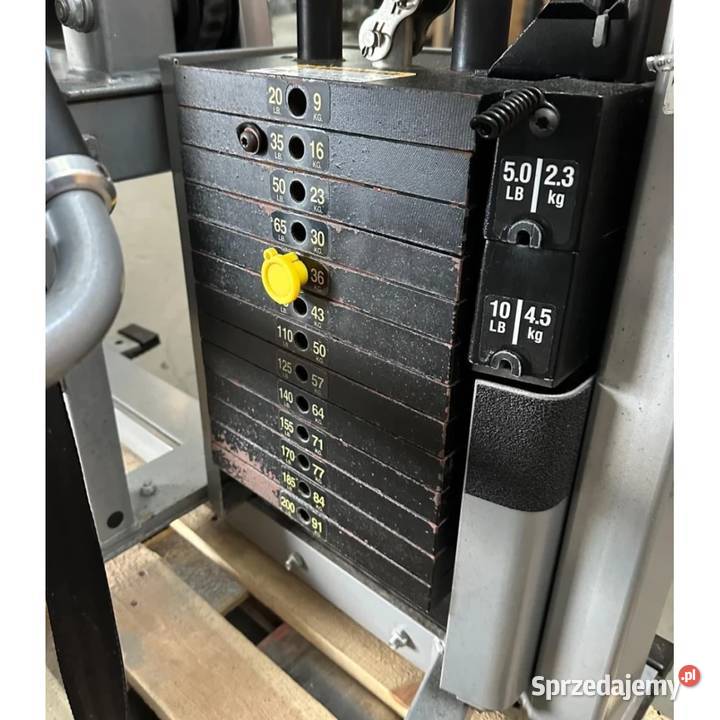 Maszyna siłowa na mięśnie nóg Seated Leg Curl Wałcz sprzedam