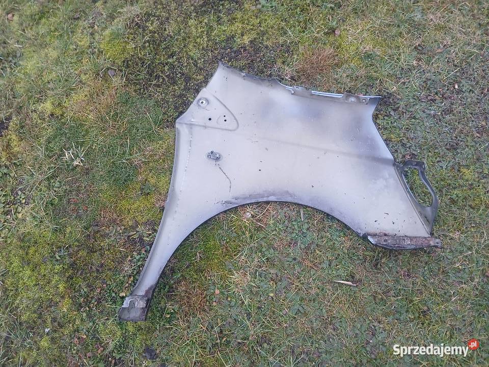 Błotnik Lewy przód Expert Scudo Jumpy II lak EZW małopolskie