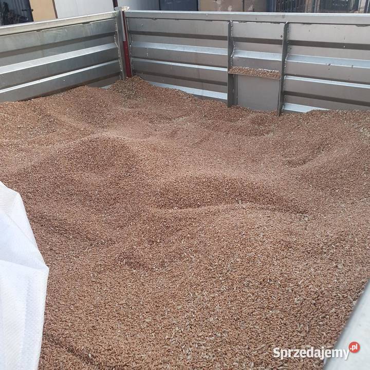 Sprzedam przyczepe jednoosiowa wywrotka mazowieckie