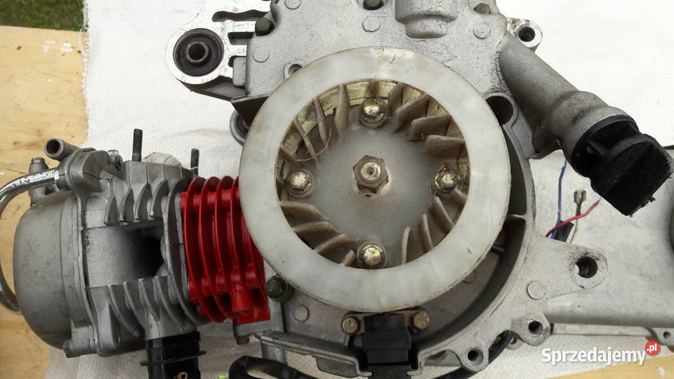 Silnik skuter Poster Sarzyna sprzedam