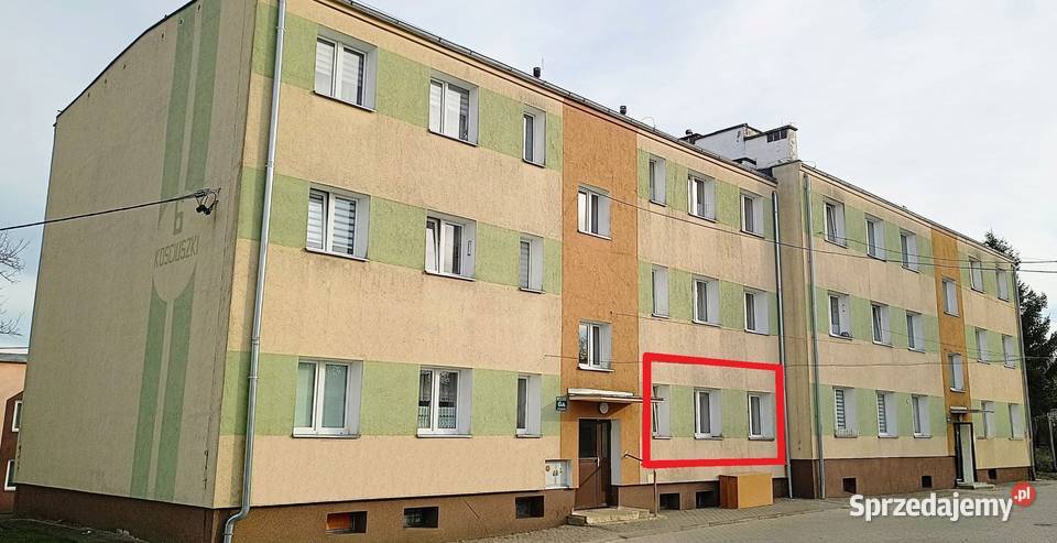 Mieszkanie 43m 2pok PARTER Centrum media z Pieniężno