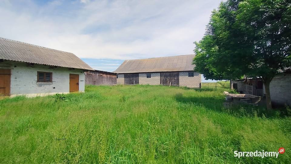 Sprzedam dom z budynkami w ciekawej okolicy 2643zł/m2 Warzyn Pierwszy sprzedam