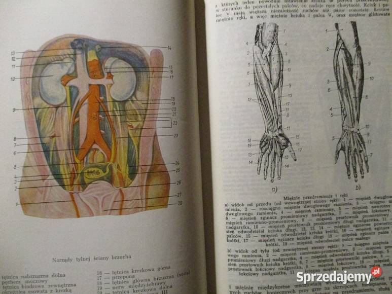 Mała encyklopedia zdrowia medycyna farmakologia Kultura i Rozrywka