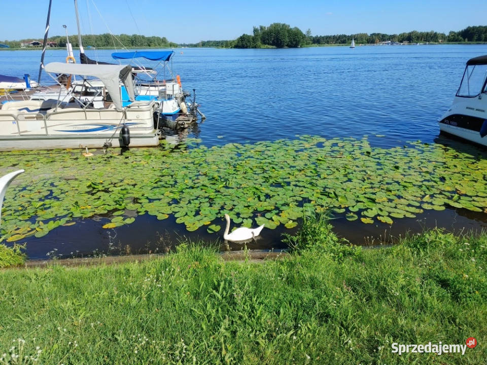 Mieszkanie 2 pok 38m2 Jadwisin pod Warszawą Rok budowy 2019 Sprzedaż