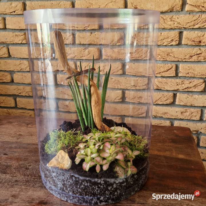 Terrarium z wentylacją tuba hodowlana 21x35 dwie Mysłowice