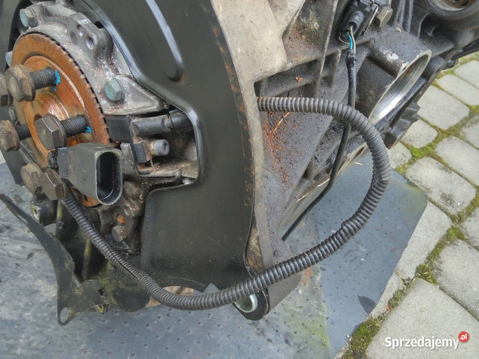 VW Audi Seat Skod 14 16V koło pasowe wału Jarocin sprzedam