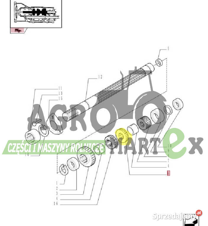 5169606 KOŁO ZĘBATE CNH Wichrów