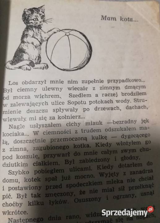 KOT z serii Mój Konik miękka Książki naukowe i popularnonaukowe Kraków