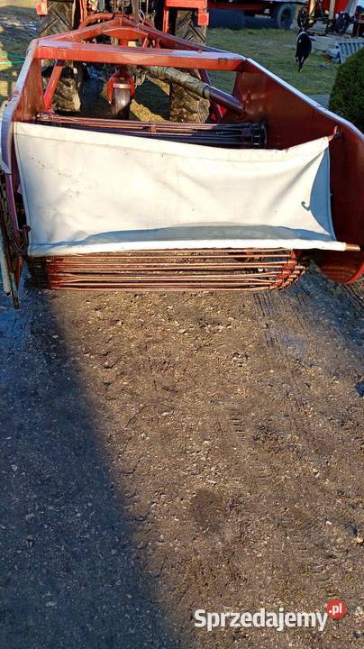 Kopaczka do ziemniaków świętokrzyskie Szydłów