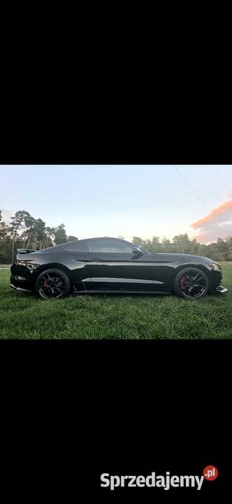 Ford Mustang 37 V6 19 Android Spojler GT Włocławek