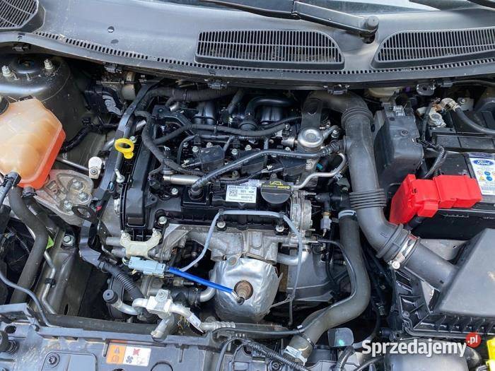 Ford Fiesta 10 80SILNIK WSZYSTKIE CZĘŚCI nieuszkodzony Fiesta świętokrzyskie Ostrowiec Świętokrzyski
