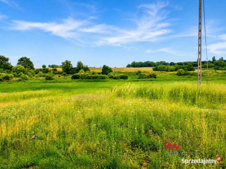 sprzedaży domu bliźniaka 526m2 Grabowiec