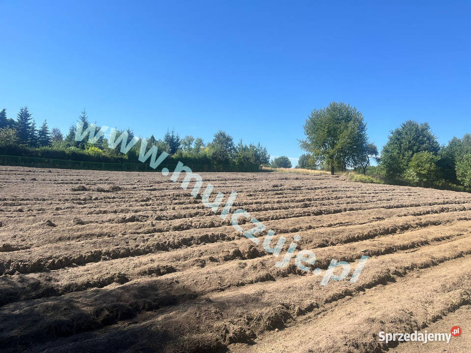 Rekultywacja Mulczer leśny Mulczowanie wgłębny małopolskie Lanckorona