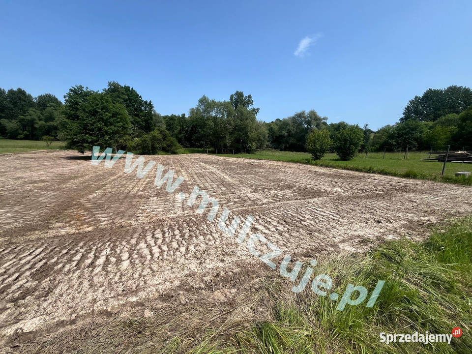 Wycinka drzew Mulczowanie Mulczer Karczowanie