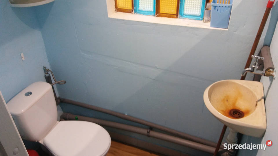 Działka ROD Złgotowska II z altaną