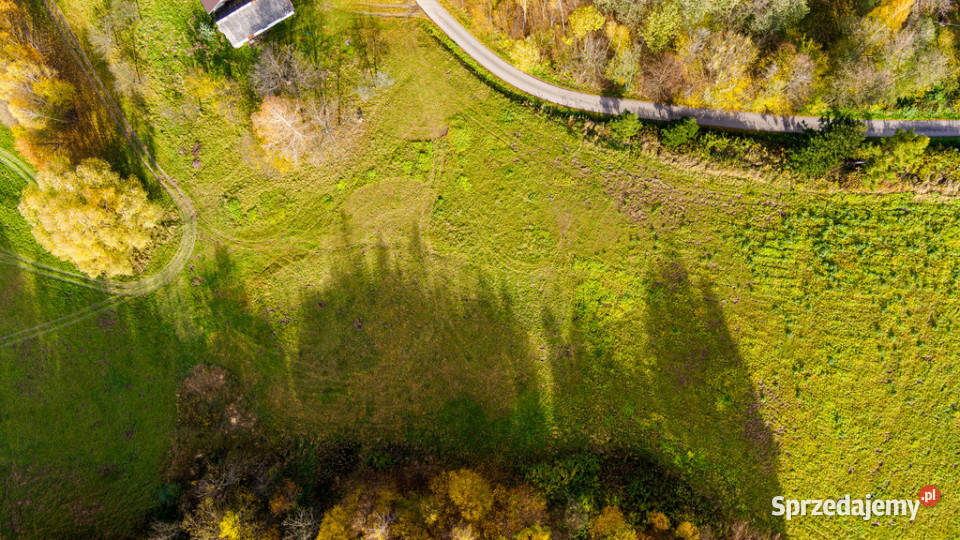 Działka budowlana Meszna Opacka 16 ar Sprzedaż
