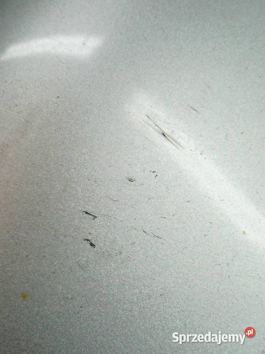 LUSTERKO LEWE 7PIN EUROPA 010880 VW Volkswagen Rok produkcji 2005