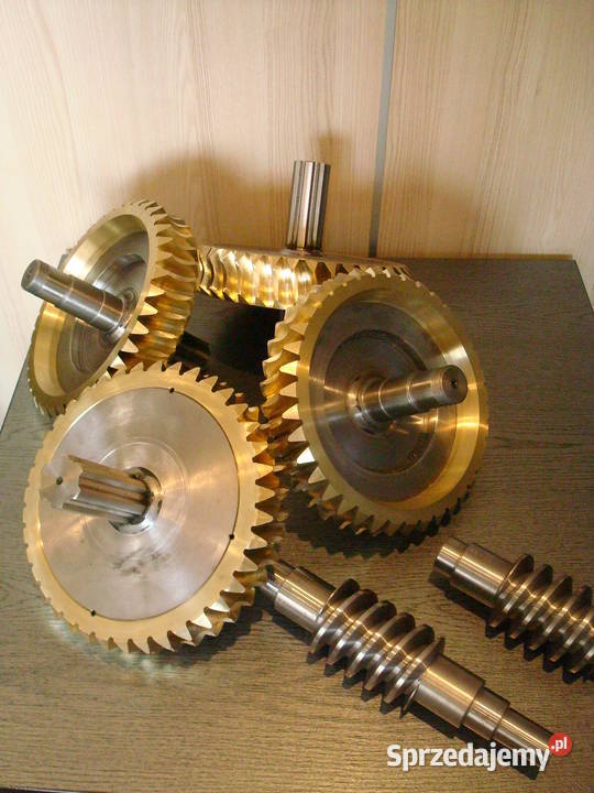 ślimacznica dolna XUN Gastronomia