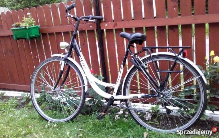 Damka holenderska okazja