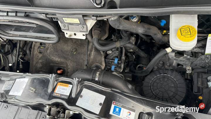 Peugeot Boxer L4 H2 Maxi z Niemiec Serwisowany VAT marża Opatów