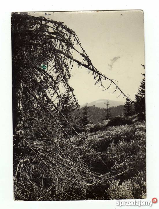 GORCE POCZTÓWKA CZARNO BIAŁA świętokrzyskie