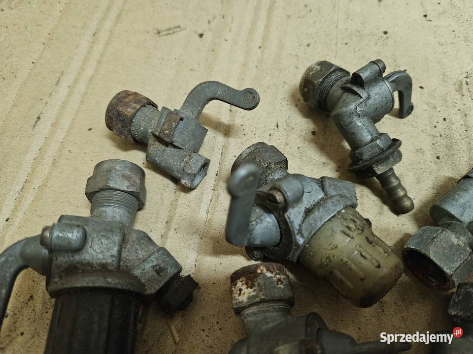 Kraniki Mz Simson Kłodawa