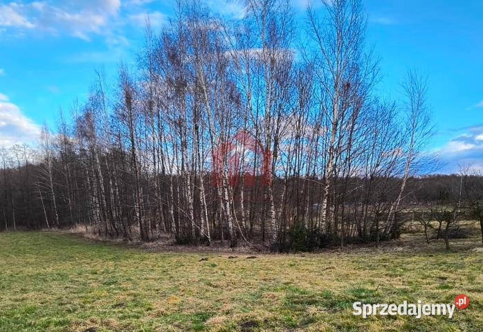 Grunt na sprzedaż 3500m2 Woliczka budowlana