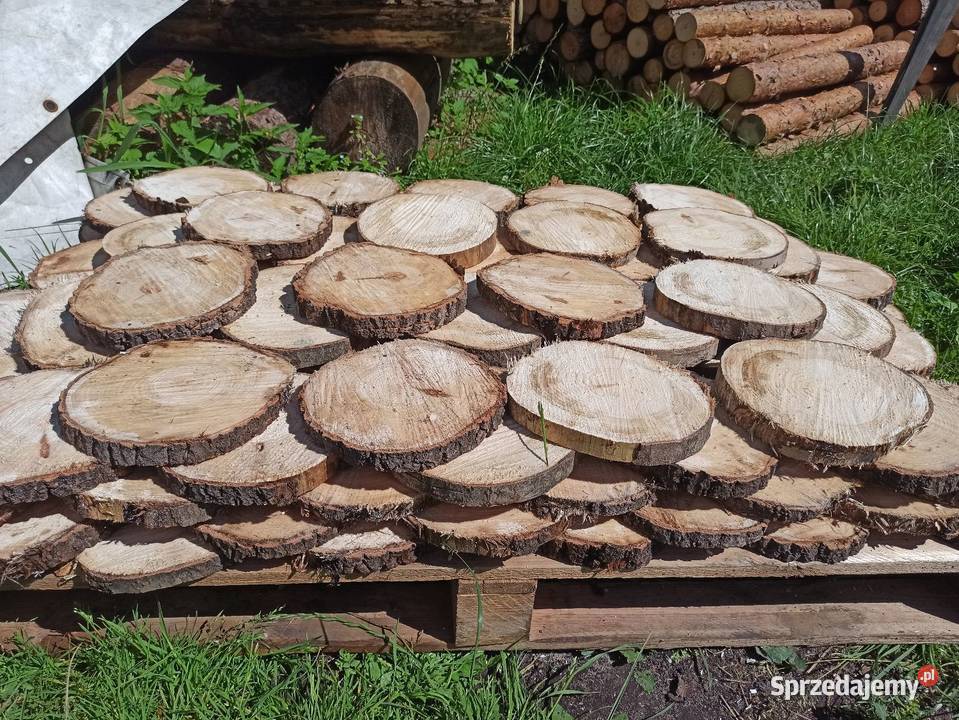 Plastry krążki drewniane Pozostałe śląskie Woźniki