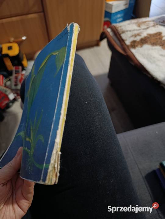 Akwarium i jego mieszkańcy autorstwa Mirosława Poznań