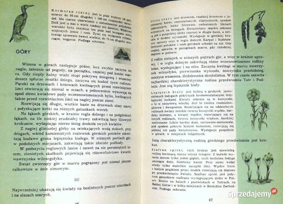 Kalendarz przyrody Henryk Sandner Zdzisława