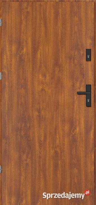 Drzwi drewnianostalowe 3 lata gwarancji ręki Drzwi zewnętrzne wielkopolskie Poznań