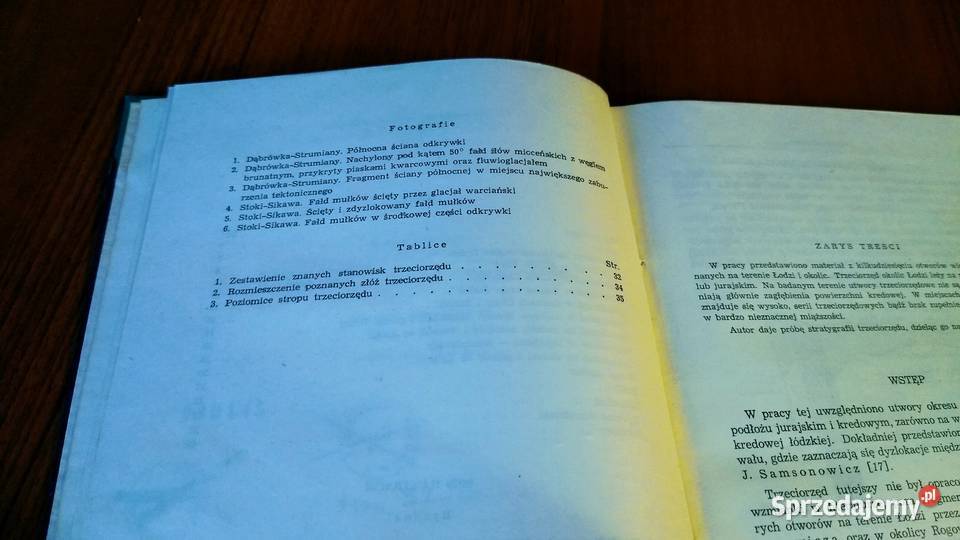 Trzeciorzęd Łodzi i okolic Feliks Różycki twarda Gdańsk