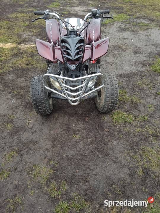 Quad 150 automat 10000km Pozostałe