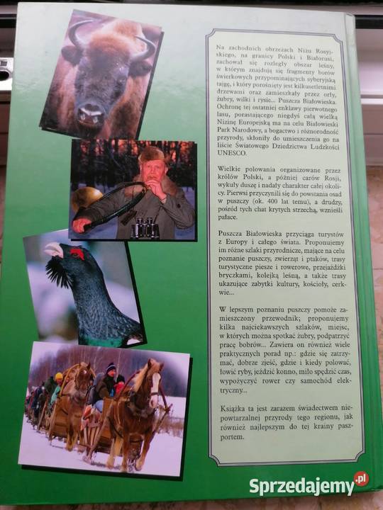 Białowieża pierwotna puszcza Europy