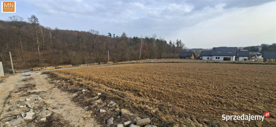 Grunt na sprzedaż Łuczyce Pod Lasem 698m2