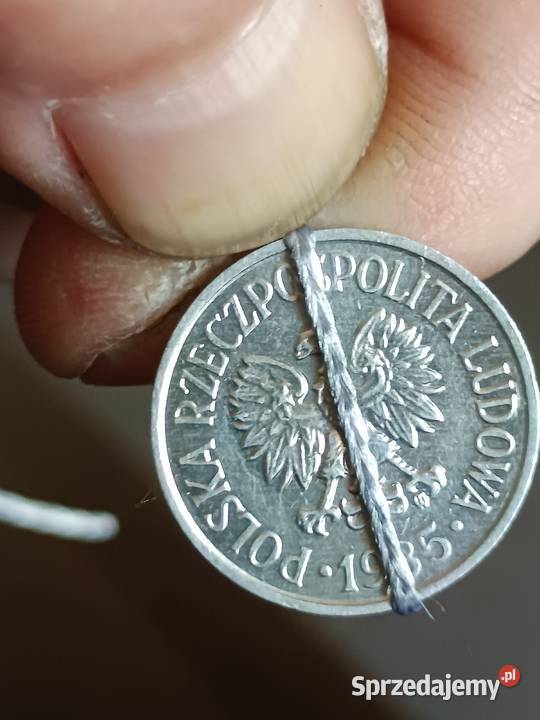 Sprzedam 20 gr 1985 r skretka nnnnn Chełm