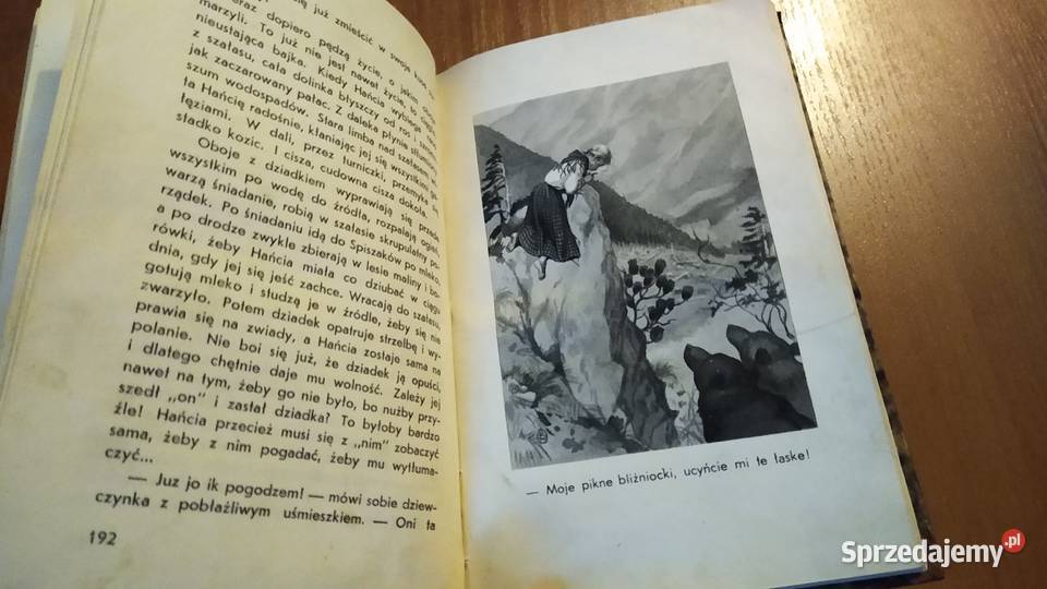 Pojednanie powieść o niedźwiedziu tatrzańskim literatura piękna - proza polska Gdańsk sprzedam