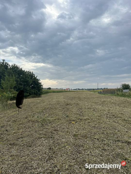 Działka budowlana 13 arów działka rolna 04935 Mienice sprzedam