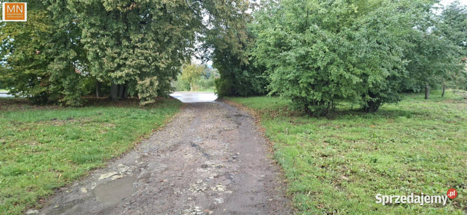 sprzedaży gruntu Miechów Warszawska 2627m2 sprzedam