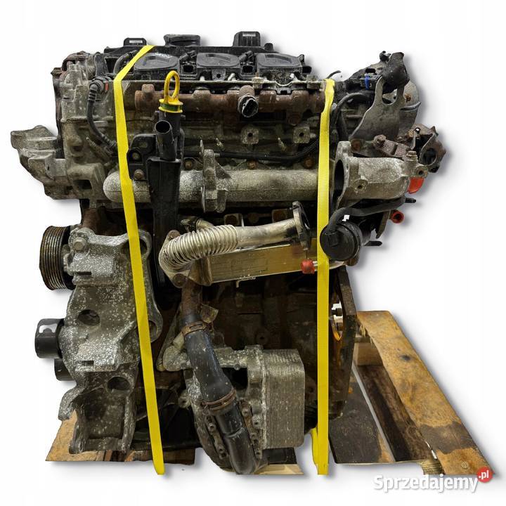 SILNIK KOMPLETNY Renault Master III Opel Movano sprzedam