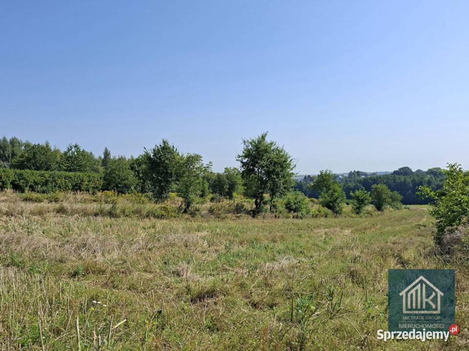sprzedaży działki Bodzanów 5890m2 małopolskie