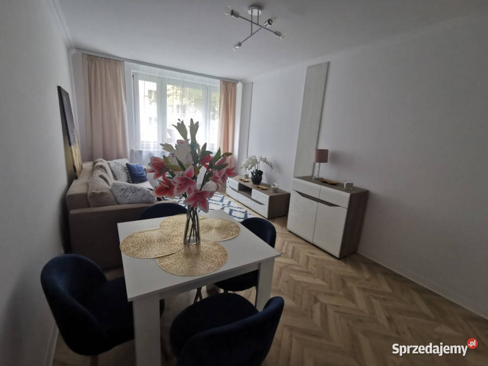 Bez prowizji remoncie 43 mkw parter k WSIZ i Liczba pokoi 2 Rzeszów