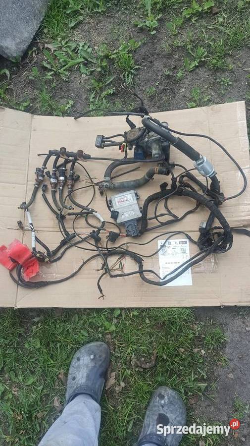 Instalacja gazowa stag4 komplet mazowieckie Płońsk