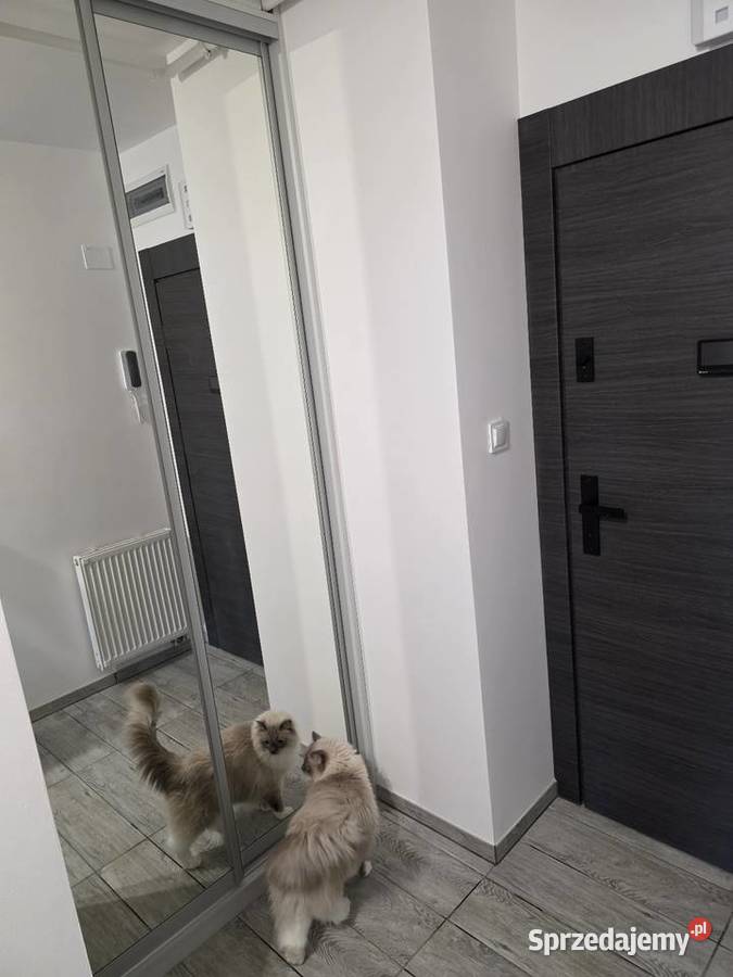 Piękne mieszkanie 3 pokojwe możliwa zamiana Reda