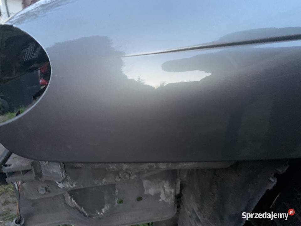 Renault megane I cabrio lift błotnik lewy Nieborowice