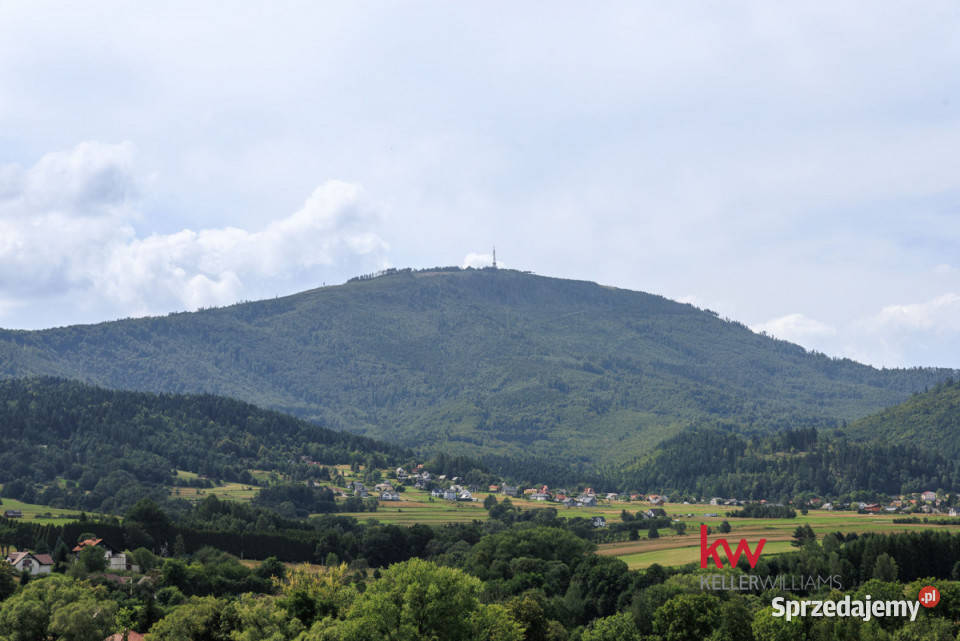 Dom wolnostojący Lipowa 21314m2 Liczba pokoi 5 śląskie sprzedam