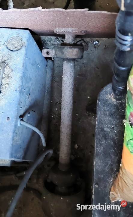 Krajzega stara Pozostałe Lipnica